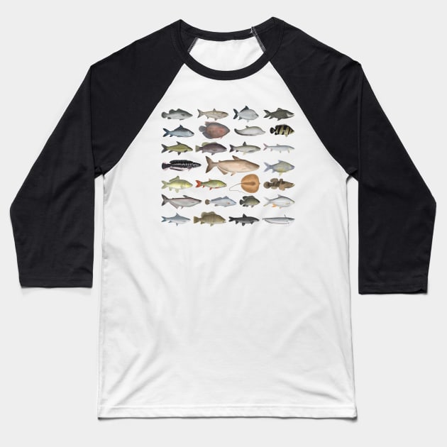 Southeast Asia Freshwater Fish Group Baseball T-Shirt by FishFolkArt